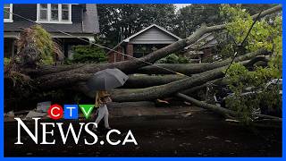 Toronto's 'cleanup' after the storm screenshot 2