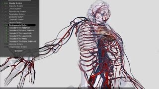 Top Educational Apps for Chrome screenshot 3