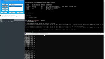 Vulturenet Fast-Flux network demo.