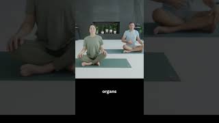 Yoga for Digestion | Stretches for Better Elimination