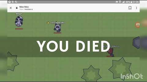 Playing Moo Moo io for the first time!!!