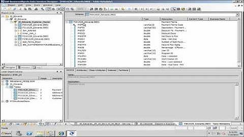 Extracting Data From JD Edwards Using SAP BusinessObjects Data Services