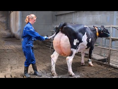 Everyone should watch this farmer's video. - Incredible Modern Livestock. Make This Go Viral!!