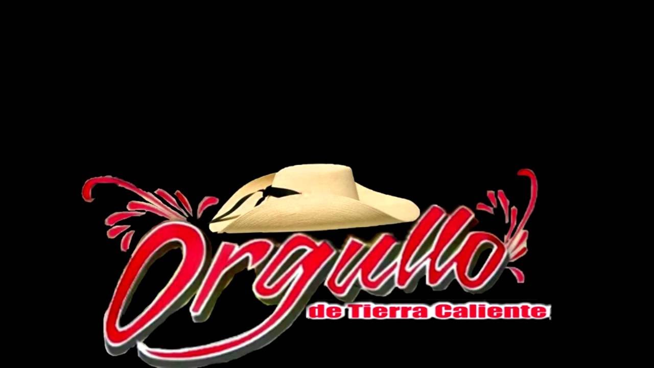 Para raza de guerrero Viva Tierra Caliente Zapateado y corridos mix