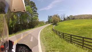 KLR 650 Diary: Pasture of Yellow Flowers