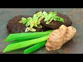 How to Make Bulgogi Sausage: Director's Cut from Celebrate Sausage Month (Episode 28)