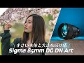 Sigma 85mm F1.4 DG DN Artが最強すぎる！ポートレートやBROLLにはこれさえあれば良い！？