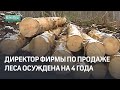 Директор фирмы по продаже леса осуждена на 4 года