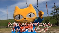 Youtuberタマにゃん Youtube