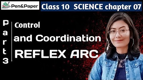 Reflex action L-3| Spinal cord | control and coordination |class 10 chapter 7 | NCERT and CBSE