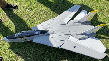 Scratch built F14