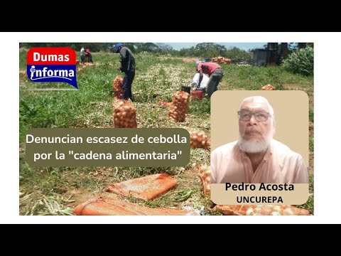 Forcejeo en la cadena alimentaria provoca desabastecimiento de rubros como la cebolla dice Uncurepa