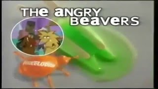 Анонс на Nickelodeon: крутые бобры