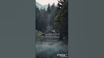القران الكريم راحه نفسيه ❤️🎧