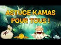 ASTUCE KAMAS POUR BAS LVL ! WAKFU 2020