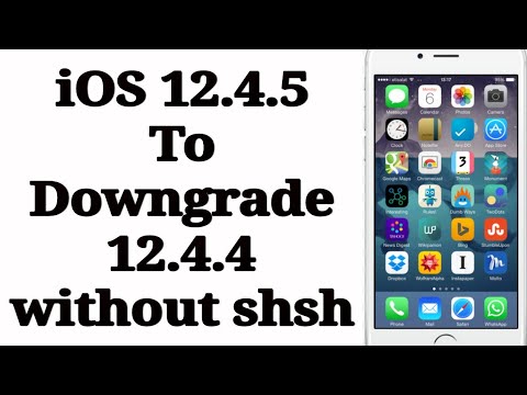 iOS 12.4.9 On iPhone 6! (Review). 