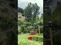 Tranquil Moments Amidst Rain and Clouds At Swat Haven Resort ⛵ #shorts
