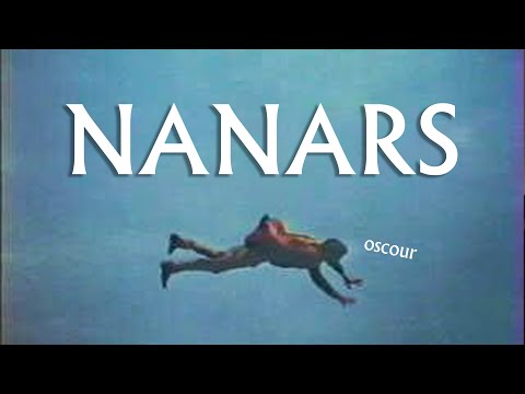 LE FOSSOYEUR DE FILMS - Les nanars
