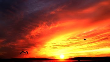 Modular World Patch-On Challenge Techno