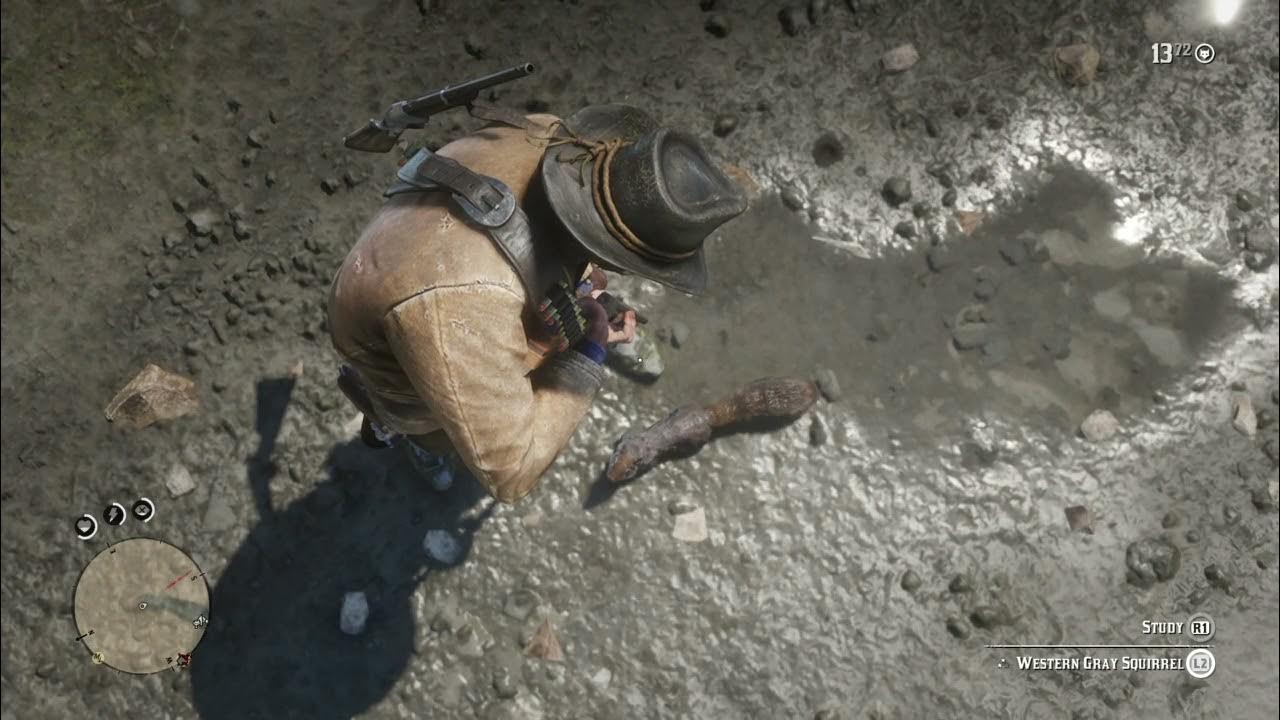 RDR2 Squirrel YouTube