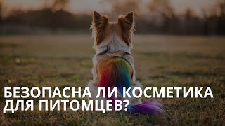 Безопасна ли «косметика» для домашних животных?
