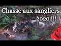 CHASSE DU SANGLIER EN BATTUE 2020 !!! | Bretagne - Chasse 2020-2021