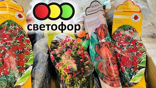 Светофор 🚦 Беларусь 2022🚥  новинки