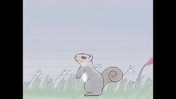 Squirrel Run
