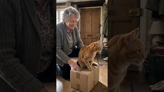 The parcel was hers for about four seconds. 🐾 The parcel was hers for about four seconds. 🐾