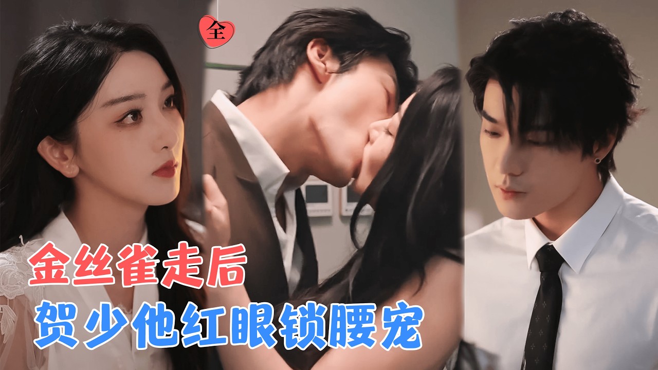 金絲雀出逃：賀爺的追妻火葬場