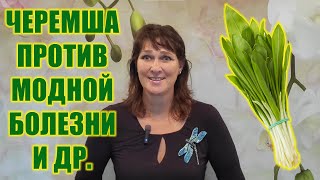 видео: Черемша. Польза. Вкусно и полезно картинка: Черемша. Польза. Вкусно и полезно