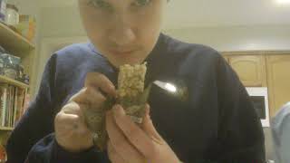 A taste test video #176 Kodiak Chewy Granola Bar | Chocolate Chip