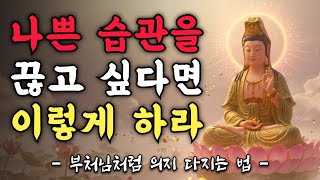 부처님 말씀으로 배우는 습관 개선과 의지력 강화의 지혜  부처님말씀 석가모니 명언 잠잘때듣는 인생조언 불교 철학 명상 오디오북 ASMR 법륜 법정