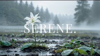 SERENE - Soaking Music for Relaxation, Sleep, Meditation & Inner Peace | Drifts.