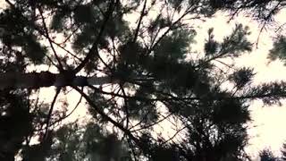 kevana zerîn ,Awazê çiya