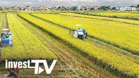 Bầu Đức: "trùm" địa ốc đầu tư dàn trải, chuyển sang “buôn” trái cây