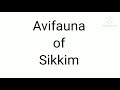 Avifauna of Sikkim / avifauna sikkim / birds of Sikkim / birds sikkim / sikkim project / sikkim