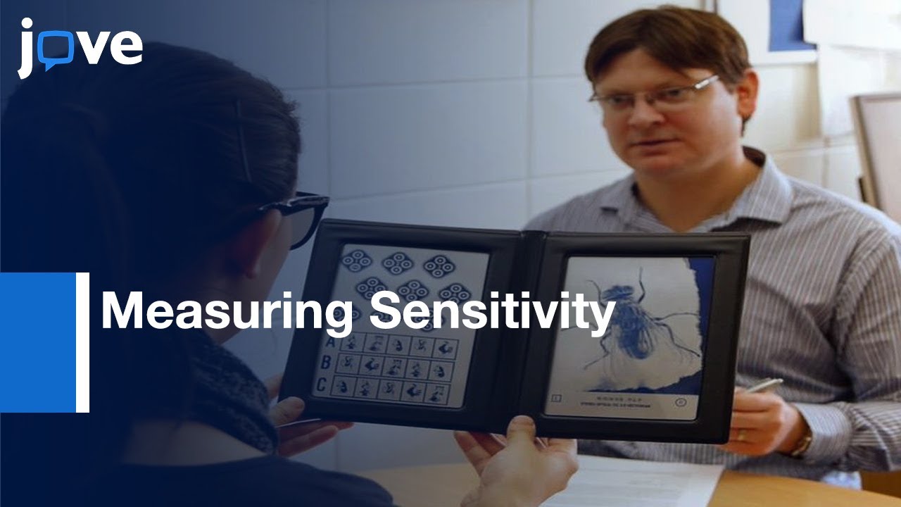 Measuring Sensitivity To Viewpoint Change With & Without Stereoscopic Cues l Protocol Preview