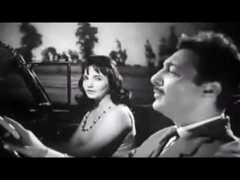 أغنية على عش الحب شادية