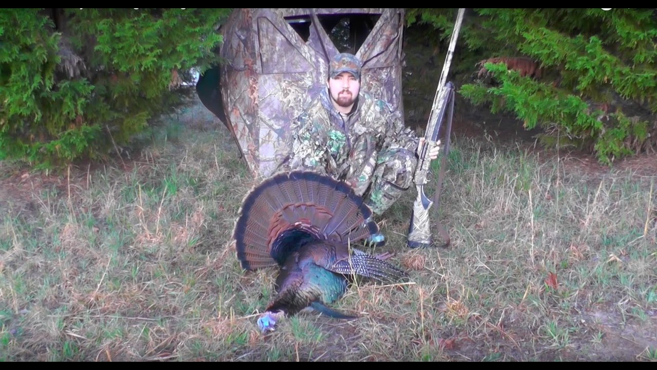 2016 Turkey Hunting "Long Beard Down" YouTube