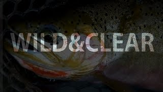 WILD & CLEAR - Fishing Montana's Backcountry