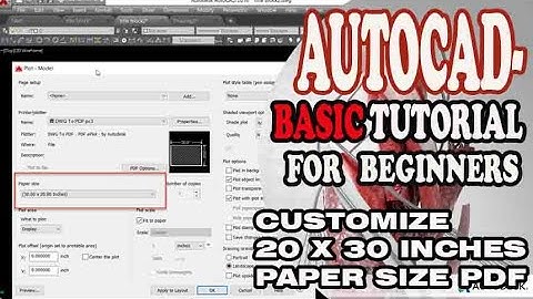 AUTOCAD - HOW TO CREATE CUSTOMIZE 20 X 30 INCHES PAPER SIZE PDF
