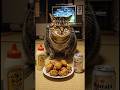 ボス猫の「みんな大好き！唐揚げ」