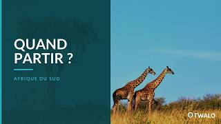 Quand partir en Afrique du Sud : la meilleure période selon votre itinéraire
