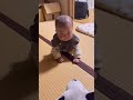 【7ヶ月時】わんちゃんのぬいぐるみに威嚇する赤ちゃん👶