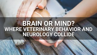 Brain or Mind? Where Veterinary Behavior and Neurology Collide