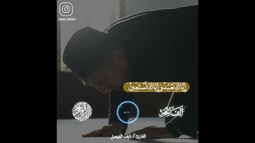 القارئ نايف الفيصل تلاوة هادئة لسورة الفاتحة