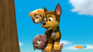 Marshall Fart Edit 8