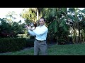 Right Wrist Action in Golf Swing - Golf Lesson by Herman Williams Golf