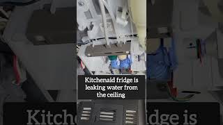 KitchenAid Refrigerator Leaking Water from Ceiling: Faulty Water Valve Repair #aspecoappliancerepair